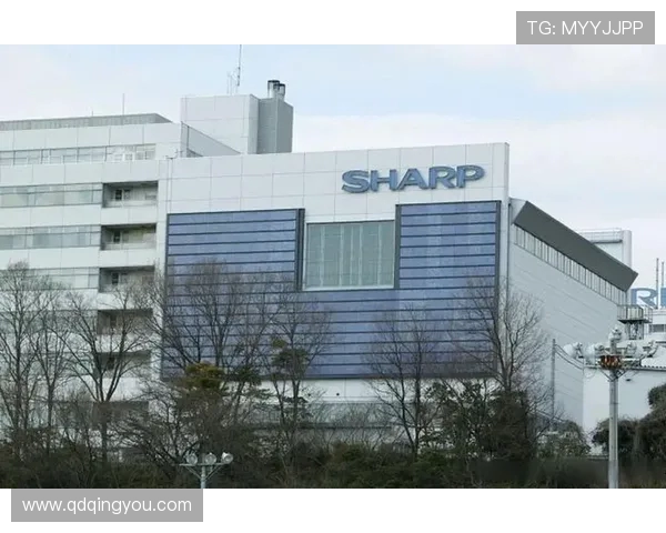 夏普三分9中3仅得15分关键时刻遭弃用并出现4次失误表现低迷 夏普三分9中3仅得15分关键时刻遭弃用并出现4次失误表现低迷